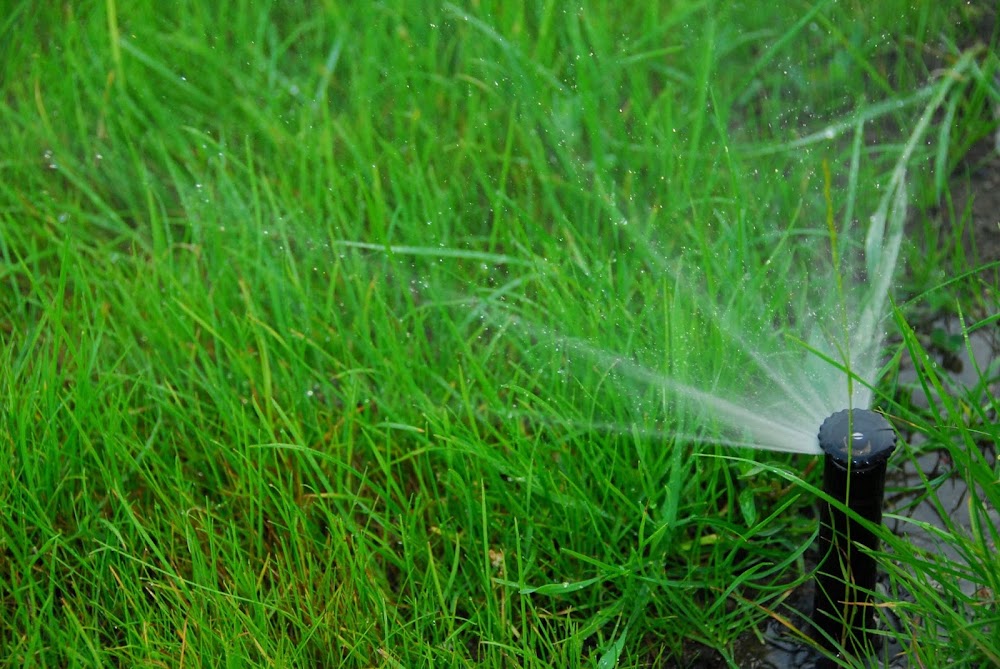 Sanchez Irrigation & Landscaping