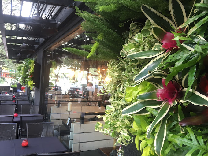 Texas Tropical Plants