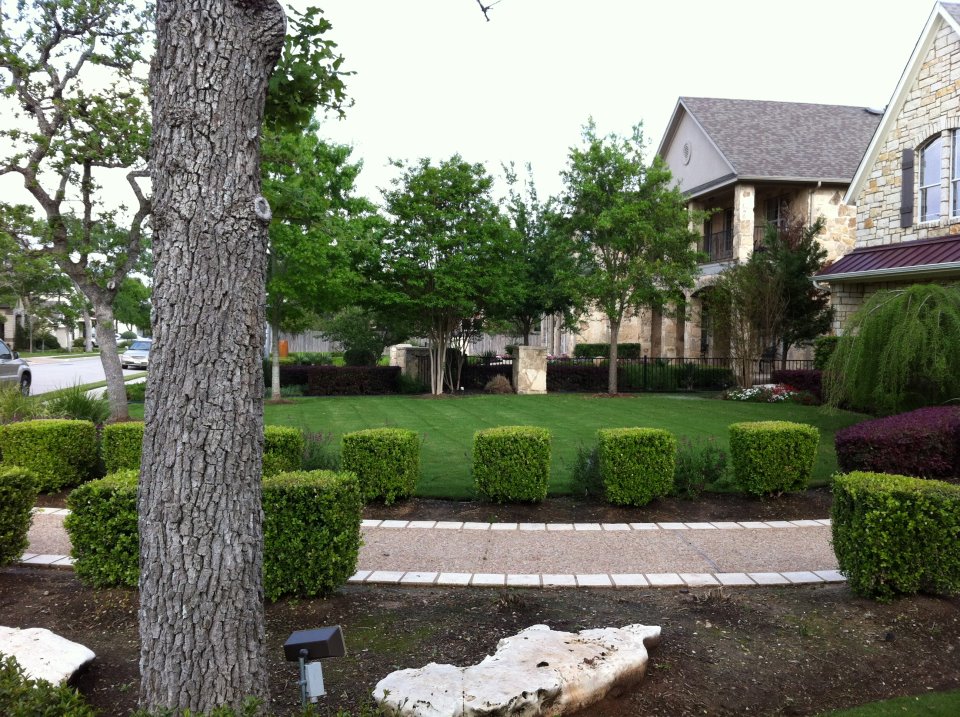 Austin's Best Lawn and Landscape