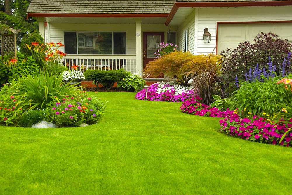 Dad and Son Landscaping - Front Yard Landscaping, Tree Shrub Removal Service, Landscaper
