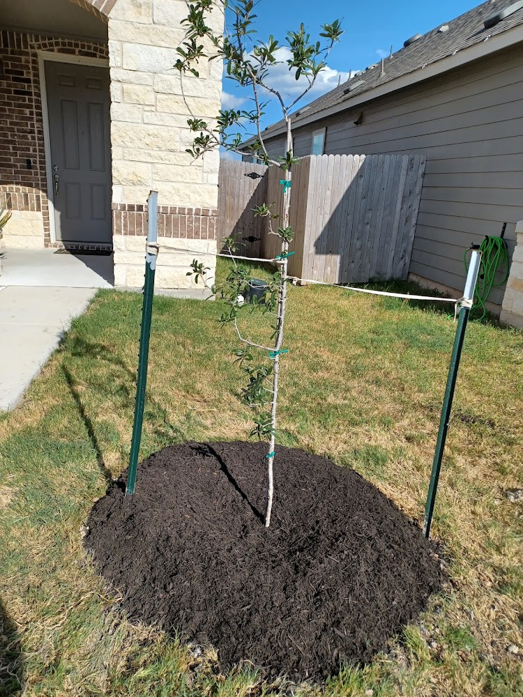 KECH Irrigation & Landscaping