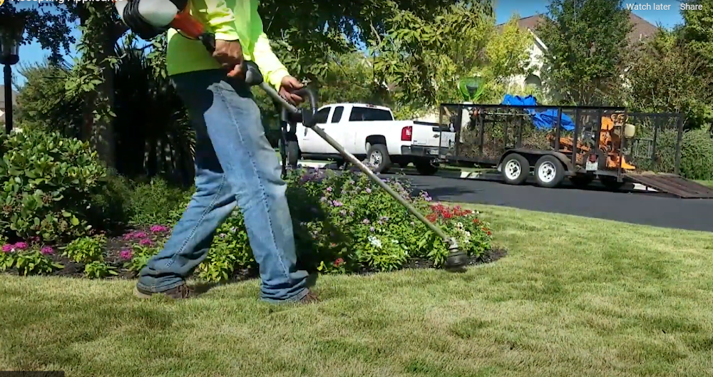 Wellspring Landscape Services