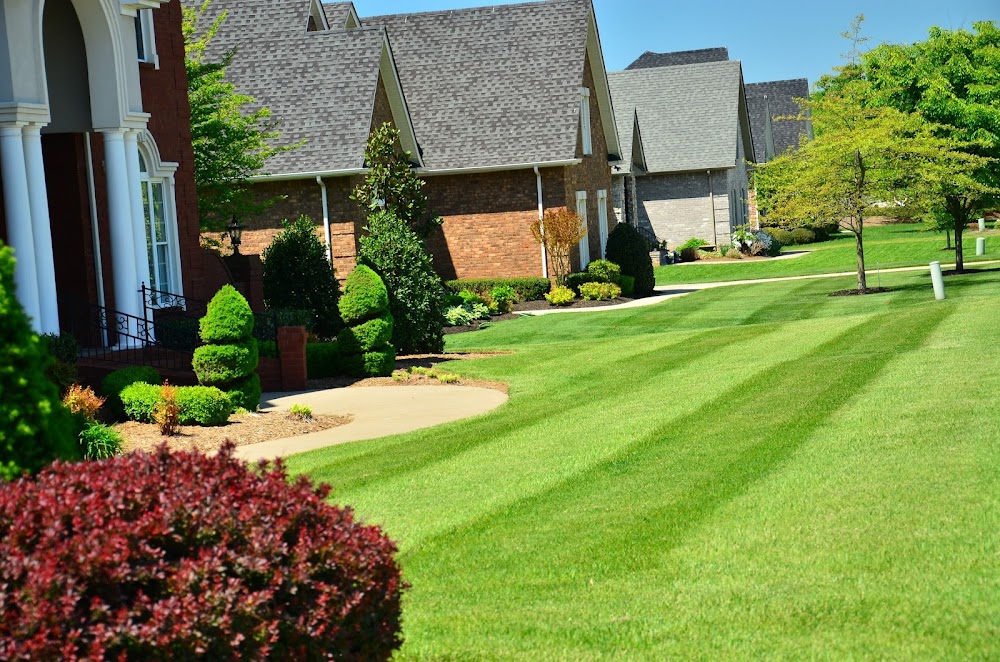 West Lake Hills Landscaping, Tree & Lawn