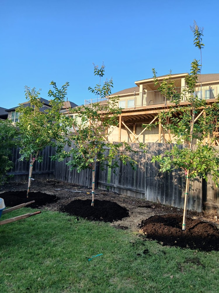 MS Landscapes LLC